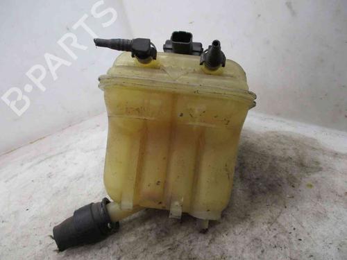 Expansion tank PEUGEOT 407 (6D_) 2.0 HDi 135 (6DRHRH, 6DRHRE, 6DRHRG, 6DRHRJ) | BP20202060C120 