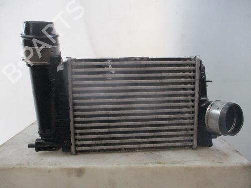 Intercooler RENAULT MEGANE IV Hatchback (B9A/M/N_) 1.3 TCe 140 (B9NB) | BP24972039M30 