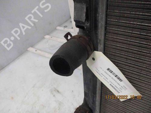 Water radiator RENAULT MEGANE II (BM0/1_, CM0/1_)  | BP26624403M31 
