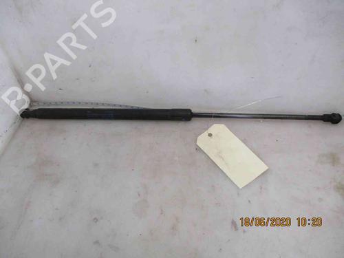 Used Tailgate lift support AUDI A3 (8P1) 1.6 (102 hp) 19734866