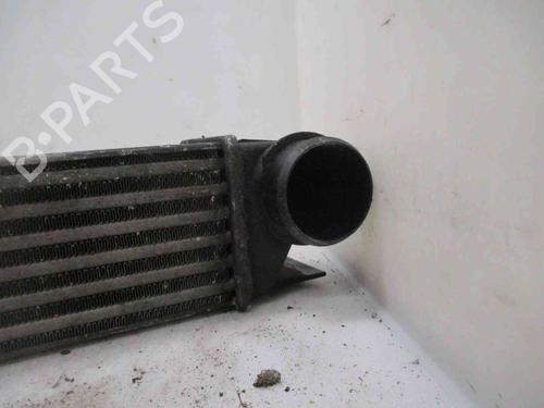 Intercooler BMW 5 (E39) 530 d | BP21833298M30 