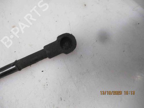 Tailgate lift support SEAT ALTEA (5P1)  | BP19735287C138 
