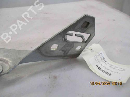 Hinge/Door check strap RENAULT MEGANE II (BM0/1_, CM0/1_)  | BP19739627C146 