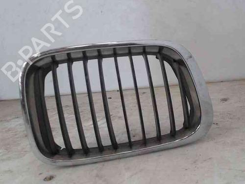 Used Grille BMW 3 (E46) 320 d (136 hp) 21833534