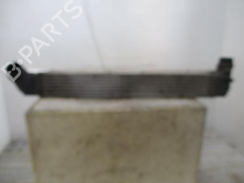Intercooler RENAULT MEGANE III Hatchback (BZ0/1_, B3_) 1.5 dCi | BP28800761M30