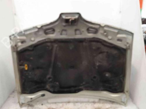 Hood RENAULT MEGANE I (BA0/1_) 1.9 D Eco (BA0A, BA0U, BA0R) | BP24012164C1 