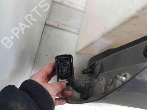 Left front door RENAULT MEGANE III Hatchback (BZ0/1_, B3_) 1.9 dCi (BZ0N, BZ0J) | BP25487344C2 
