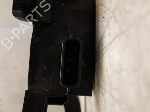 Pedal RENAULT MEGANE IV Hatchback (B9A/M/N_) 1.5 dCi 110 (B9A3) | BP31029228I4