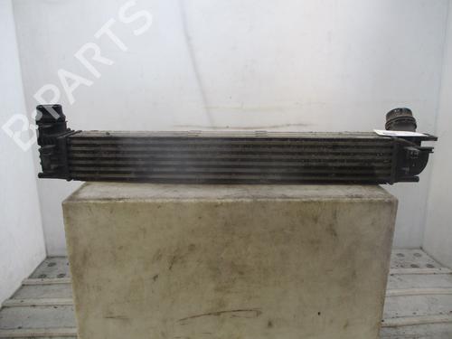 Intercooler RENAULT MEGANE III Hatchback (BZ0/1_, B3_) 1.5 dCi | BP28800761M30