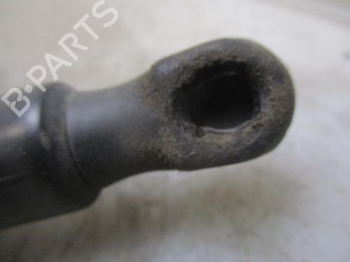Tailgate lift support FORD B-MAX (JK) 1.0 EcoBoost | BP25590973C138 
