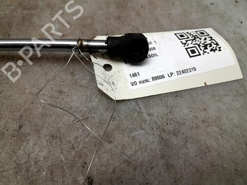 Tailgate lift support RENAULT CLIO III (BR0/1, CR0/1)  | BP24013502C138 