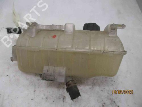 Expansion tank RENAULT KANGOO Express (FW0/1_)  | BP19718271C120 