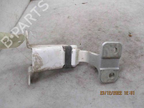Hinge/Door check strap RENAULT KANGOO Express (FW0/1_)  | BP26624676C146 