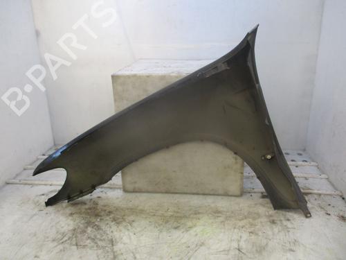 Right front fenders BMW X5 (E53) 3.0 d | BP24014589C42 