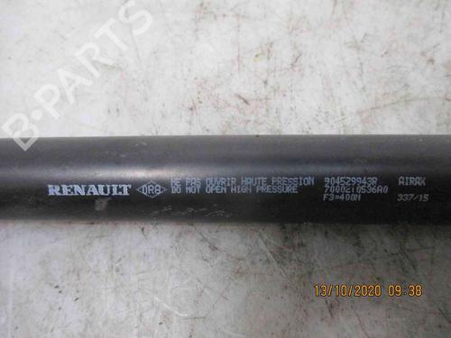Tailgate lift support DACIA SANDERO II 1.2 | BP20204463C138 