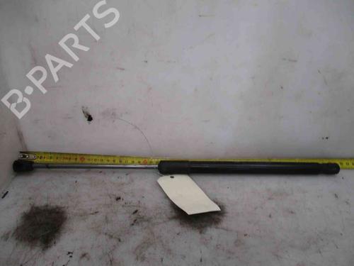Used Tailgate lift support RENAULT MEGANE III Grandtour (KZ0/1) 1.5 dCi (KZ0C, KZ1A) (90 hp) 19734672