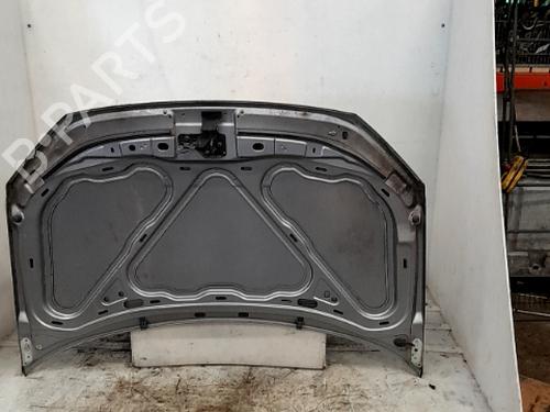 Hood VW POLO IV (9N_, 9A_) 1.2 | BP26638223C1 