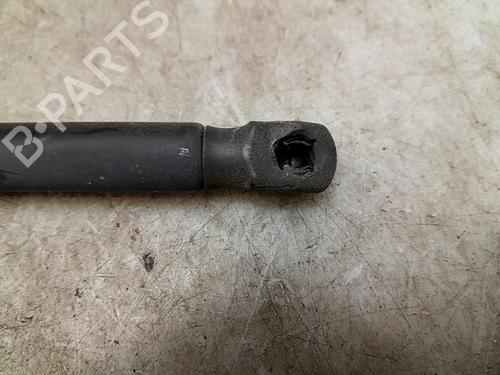 Tailgate lift support DODGE RAMCHARGER 5.2 | BP24013383C138 