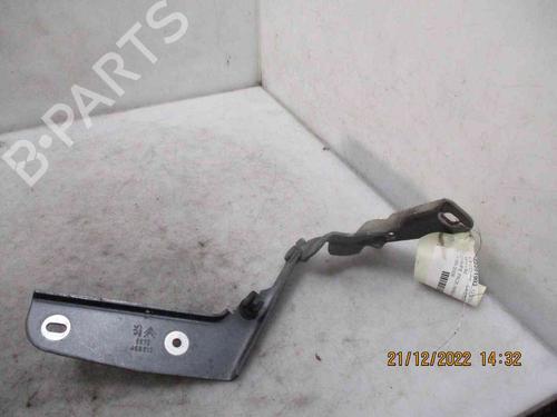 Used Hinge/Door check strap CITROËN C4 Coupe (LA_) 1.6 HDi (90 hp) 26626311