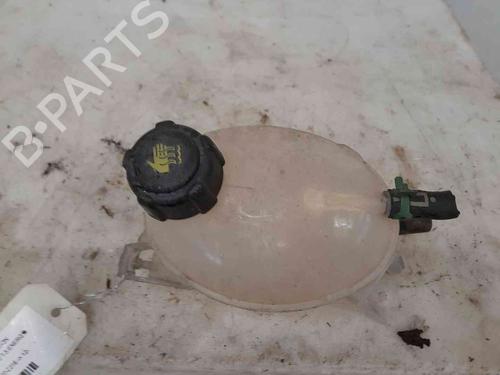 Expansion tank RENAULT CLIO IV (BH_) 1.5 dCi 75 | BP26630896C120 