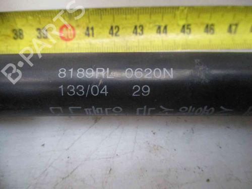 Gasdæmper bagklap SSANGYONG REXTON / REXTON II (GAB_) 2.7 Xdi | BP24006332C138 