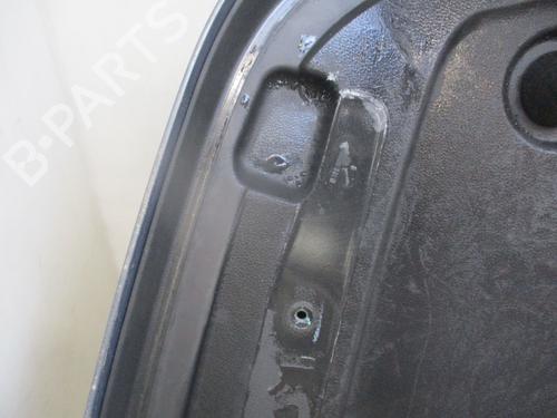 Tailgate RENAULT MEGANE II Coupé-Cabriolet (EM0/1_) 1.9 dCi | BP24971625C6 