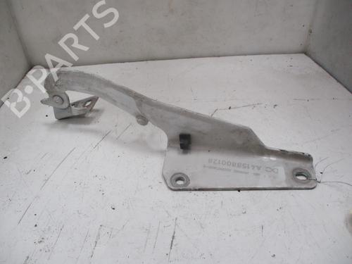Hinge/Door check strap RENAULT KANGOO Express (FW0/1_)  | BP26634707C146 