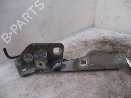 Hinge/Door check strap RENAULT SCÉNIC I MPV (JA0/1_, FA0_) 1.9 dCi (JA05, JA1F) | BP19718816C146 