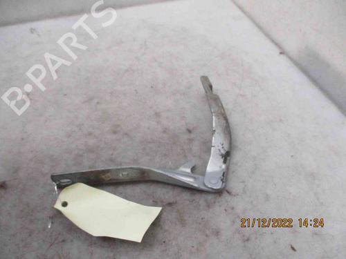 Hinge/Door check strap PEUGEOT 206 Hatchback (2A/C) 1.4 i | BP24012021C146 