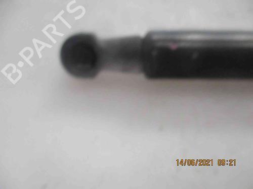 Tailgate lift support SKODA FABIA II (542)  | BP19735153C138 