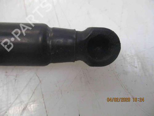 Hood lift support HYUNDAI SANTA FÉ I (SM) 2.0 CRDi | BP19719810C139 