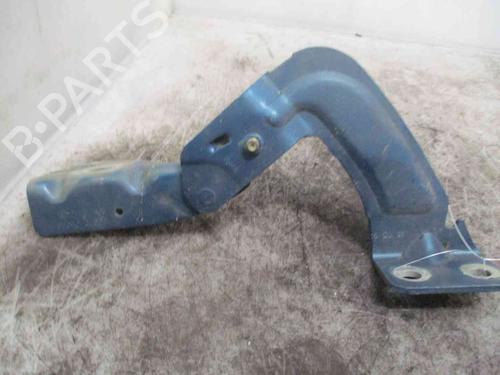 Used Hinge/Door check strap RENAULT KANGOO Express (FC0/1_) [1997-2025]  19713870