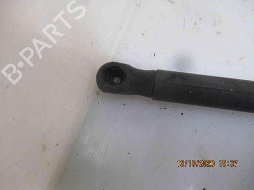 Tailgate lift support SKODA OCTAVIA II (1Z3) 1.9 TDI | BP19735695C138 