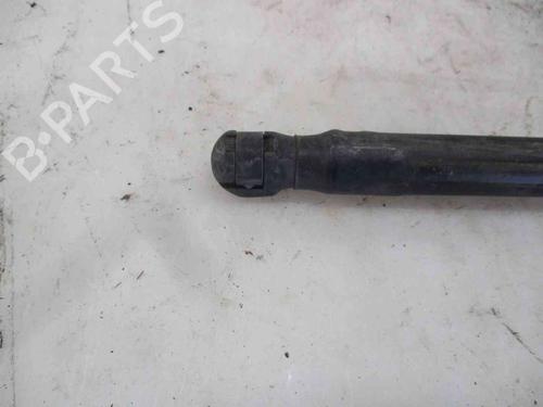 Tailgate lift support CITROËN C3 I (FC_, FN_)  | BP24012857C138 