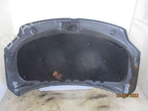 Hood VW GOLF V (1K1)  | BP26631386C1 