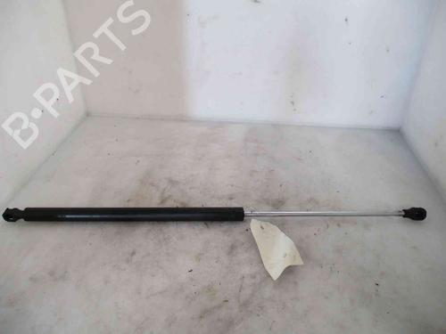 Tailgate lift support PEUGEOT 106 II (1A_, 1C_) 1.5 D | BP19734680C138 