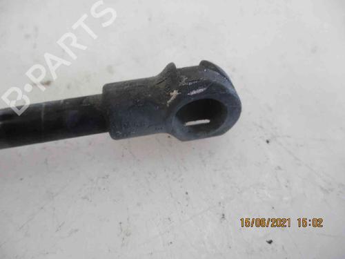 Tailgate lift support AUDI A3 (8P1) 2.0 TDI | BP19735233C138 