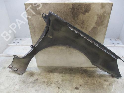 Left front fenders PEUGEOT 307 CC (3B) 2.0 16V | BP29170257C41 