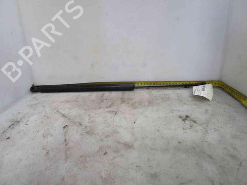 Used Tailgate lift support VW GOLF VII (5G1, BQ1, BE1, BE2) 1.6 TDI (90 hp) 26621115