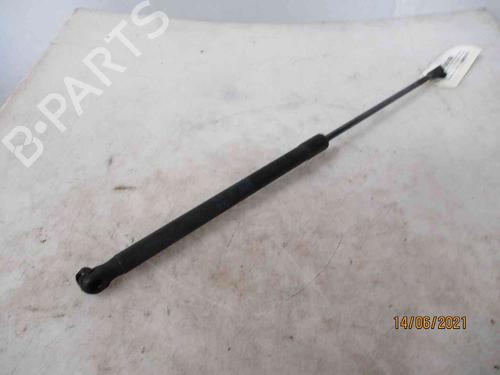 Tailgate lift support SEAT ALTEA (5P1)  | BP19738051C138 