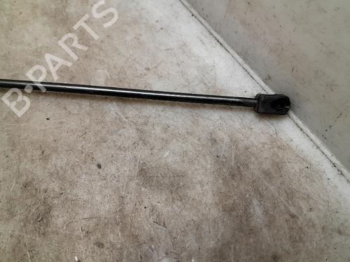 Hood lift support BMW 7 (E65, E66, E67)  | BP24014583C139 