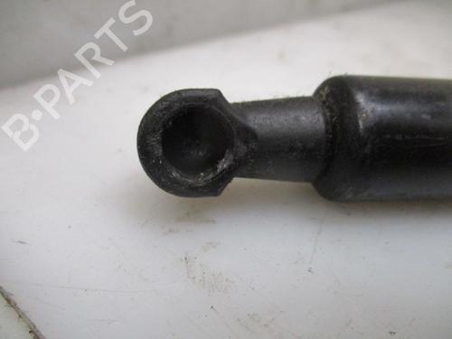 Tailgate lift support SEAT TOLEDO III (5P2) 1.9 TDI | BP26634488C138 