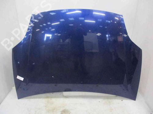 Used Hood FIAT BRAVO II (198_) 1.9 D Multijet (198AXB1A) (120 hp) 26626957