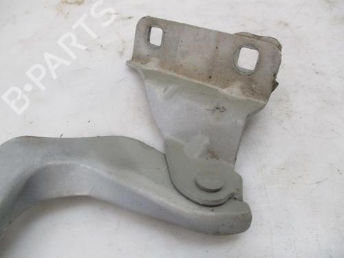 Hinge/Door check strap NISSAN QASHQAI / QASHQAI +2 I (J10, NJ10, JJ10E) 1.5 dCi | BP24971092C146 