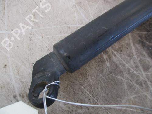 Tailgate lift support BMW 5 (E39) 530 i | BP26639667C138