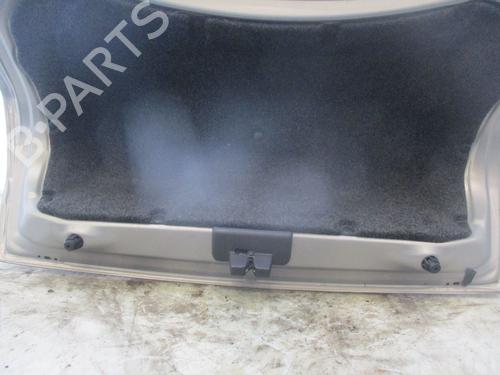 Tailgate RENAULT MEGANE II (BM0/1_, CM0/1_)  | BP29984660C6 