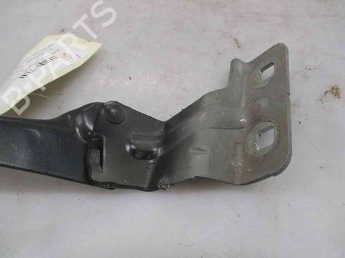 Hinge/Door check strap RENAULT MEGANE II (BM0/1_, CM0/1_) 1.9 dCi | BP19739213C146