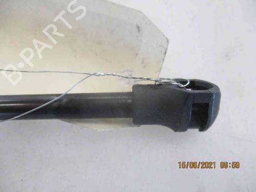 Tailgate lift support FIAT ULYSSE (179_) 2.2 JTD | BP24007809C138 