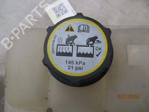 Ekspansjonstank FORD FOCUS II (DA_, HCP, DP) 1.4 | BP25377929C120 