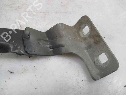 Hinge/Door check strap RENAULT MEGANE II (BM0/1_, CM0/1_) 1.9 dCi | BP19739214C146